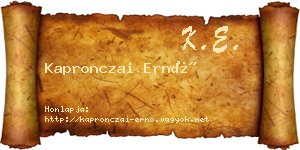 Kapronczai Ernő névjegykártya