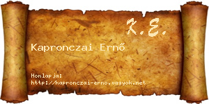 Kapronczai Ernő névjegykártya